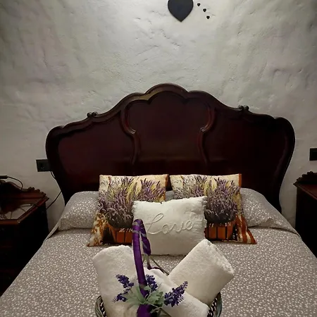 Naturacanaria Holiday home *
