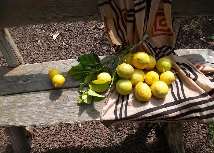 Semesterbostad Naturacanaria